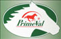 PrimeVal