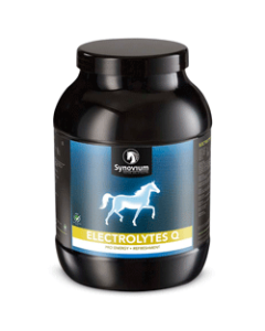 Synovium Electrolytes Q