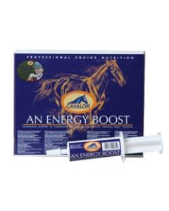 Cavalor energie boost voor sportpaarden