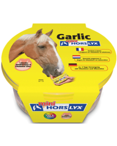 Horslyx Mini Garlic liksteen voor paarden 