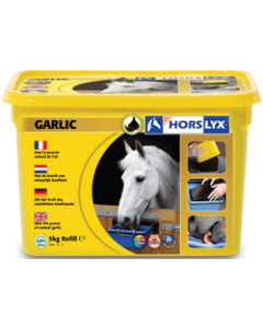 Horslyx Garlic liksteen voor paarden 