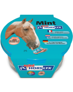 Horselyx Mint mini liksteen voor paarden 