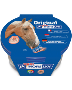 Horselyx Original mini liksteen voor paarden 