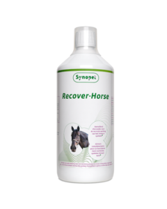 Synopet Recover Horse |Stalapotheek.nl